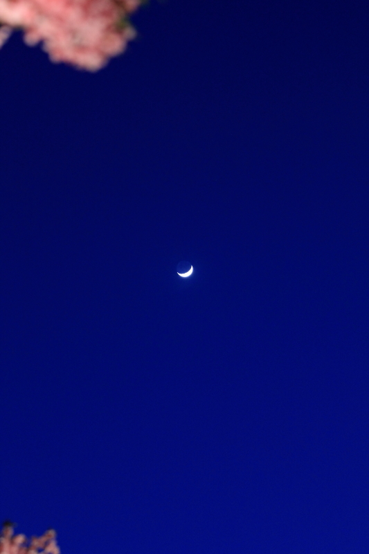 c0199146_21515415.jpg