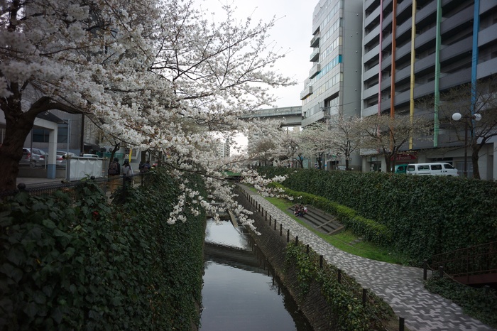 b0260550_18216.jpg