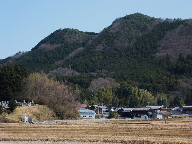 d0048350_22022.jpg