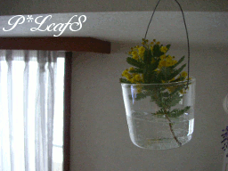 c0176651_16292644.gif