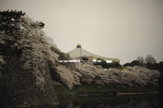 c0049455_957010.jpg