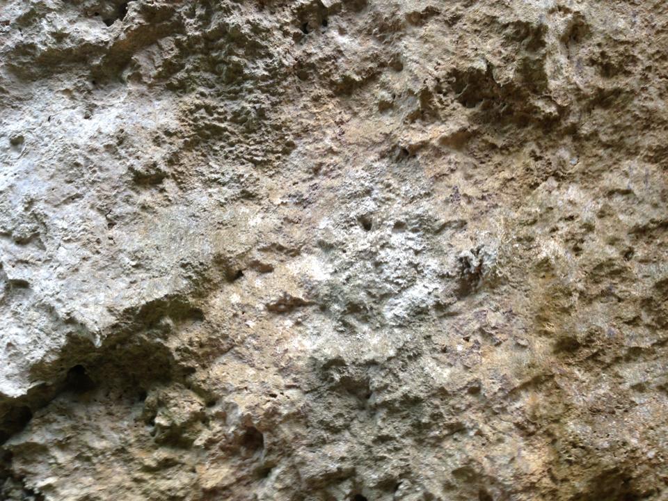 b0002156_80034.jpg