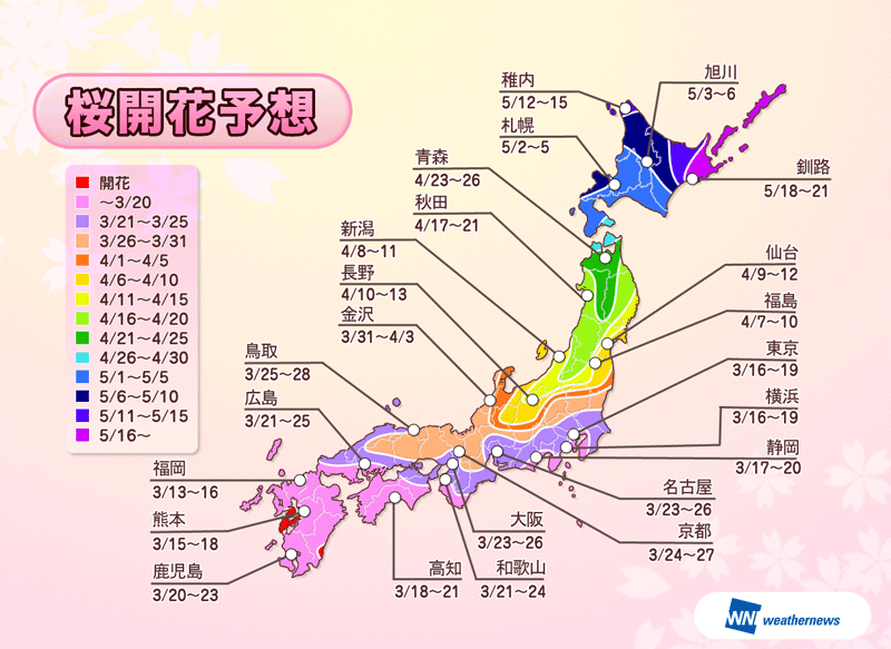 桜はまだかいな～_d0231858_7132057.png