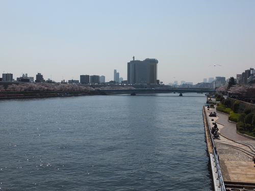 d0080566_10153658.jpg