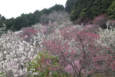 f0185066_14185836.jpg