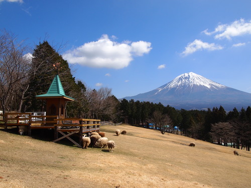c0144868_15896.jpg