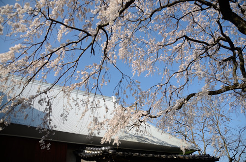 b0170969_18253651.jpg