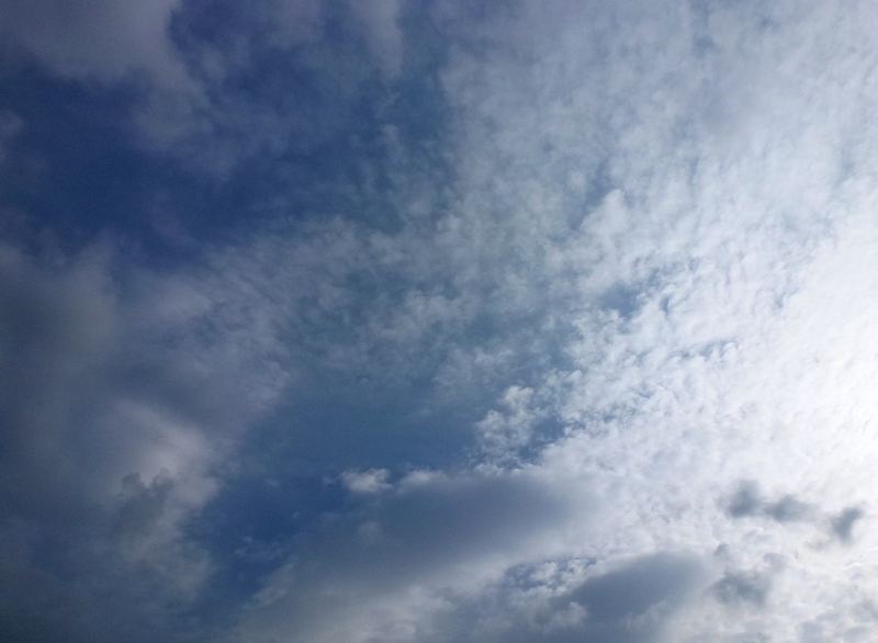 a0261573_8202358.jpg