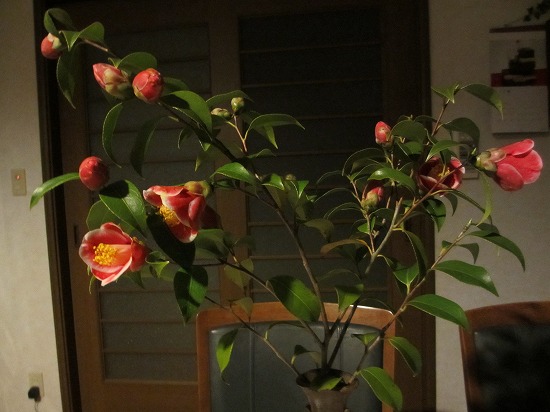 b0182884_0583339.jpg