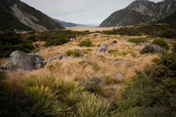 c0168986_15505159.jpg
