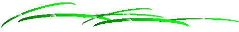 e0305388_6501676.gif