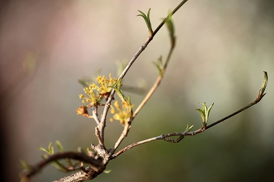 馬場花木園_e0305388_6522488.jpg