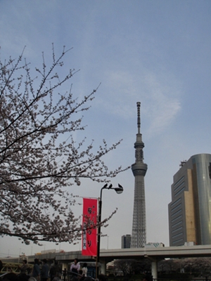 d0125890_10641.jpg