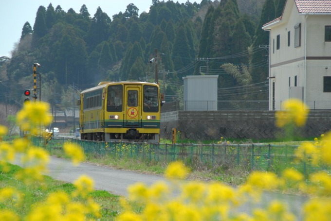 d0021491_22182191.jpg