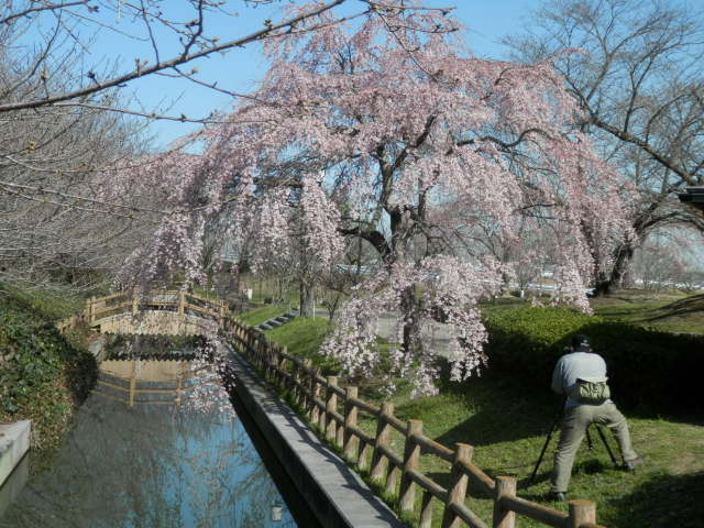 a0275492_4192444.jpg