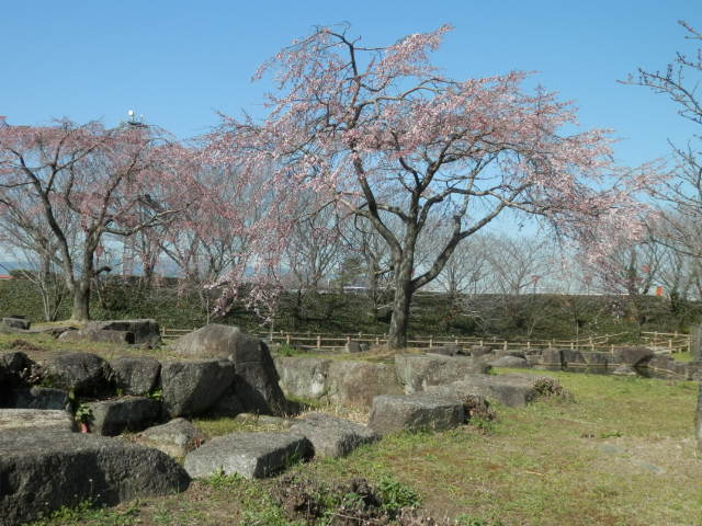 a0275492_4223876.jpg