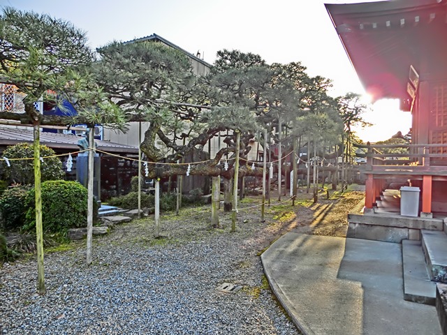d0181492_2330148.jpg