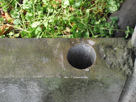 a0229594_2073696.jpg
