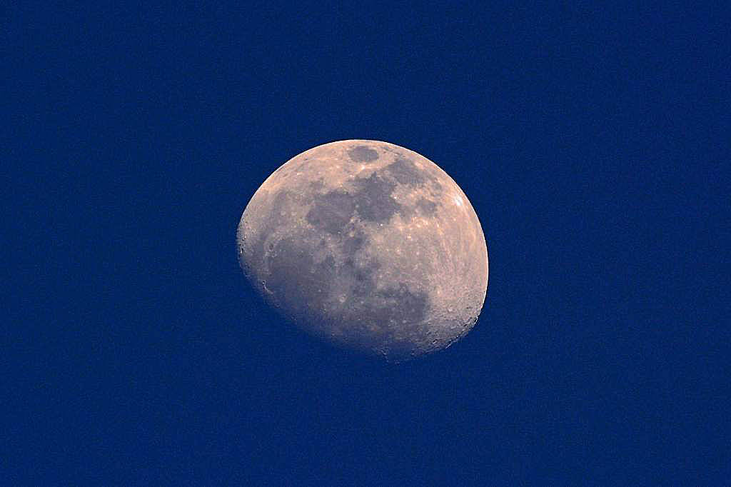 b0024798_21422531.jpg
