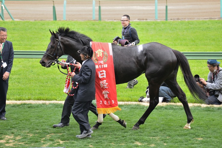 番外編　0323　中山競馬場　（日経賞　フェノーメノ他）_b0266698_20424299.jpg