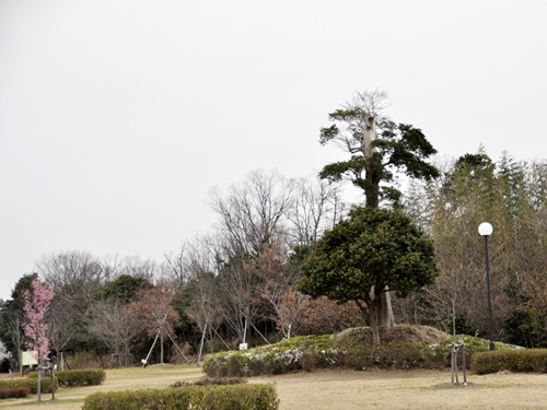 公園へ・・・_f0176499_2020212.jpg