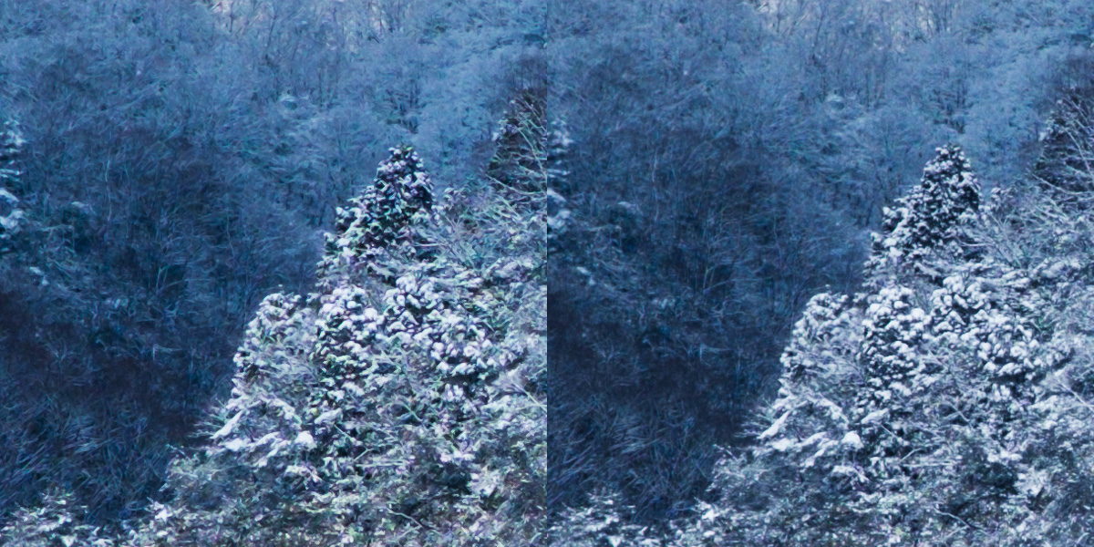 d0200900_5513047.jpg
