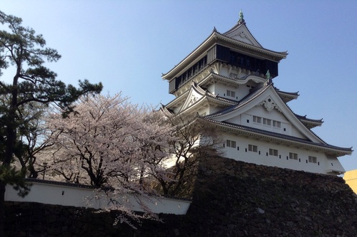 桜色の空はガラス色_e0063902_152533.jpg