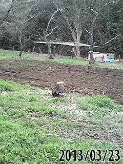 e0270403_5382359.jpg