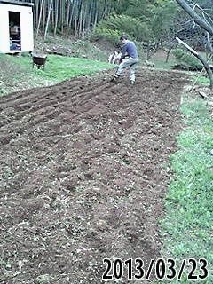 e0270403_5384730.jpg