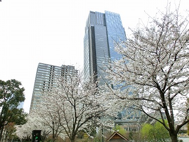 六本木広尾散歩(大江戸散歩)_c0187004_1123896.jpg