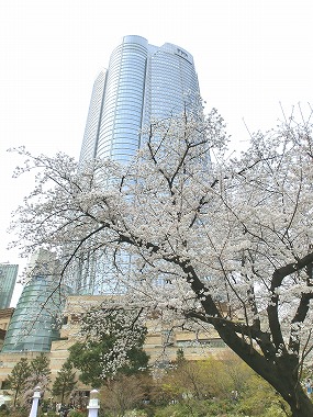 六本木広尾散歩(大江戸散歩)_c0187004_116840.jpg