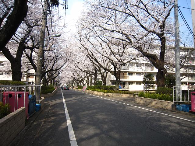 a0141408_2072135.jpg