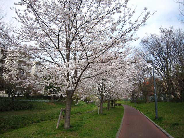 a0141408_207675.jpg