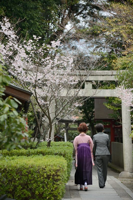 春が来た桜の宮・車折神社_f0032011_17215225.jpg