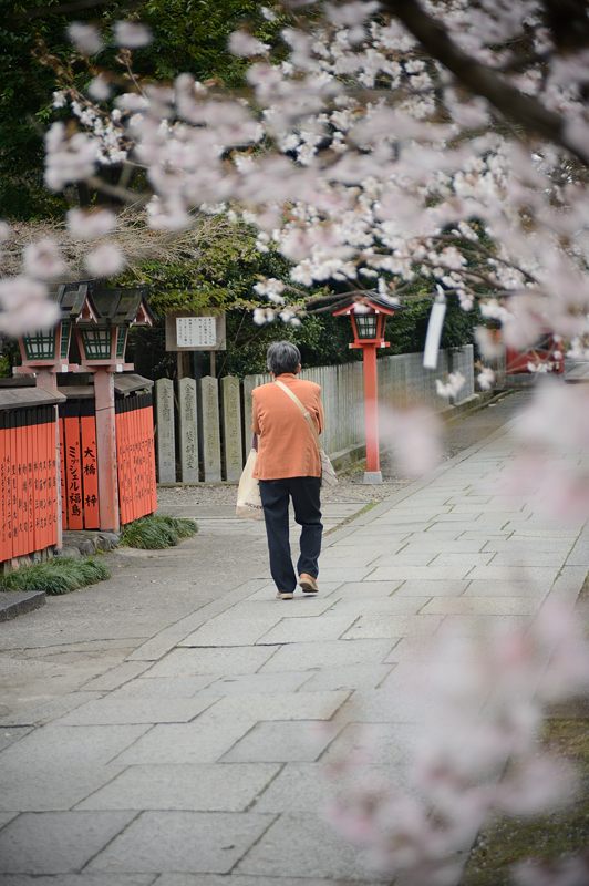 春が来た桜の宮・車折神社_f0032011_17314185.jpg