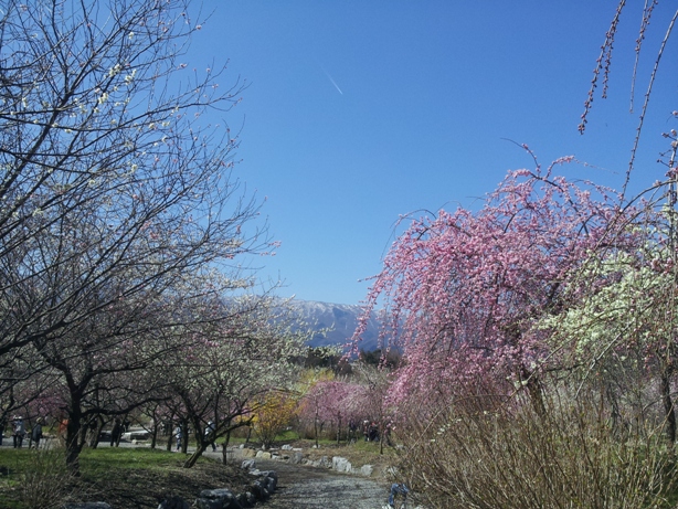 e0033713_1694370.jpg