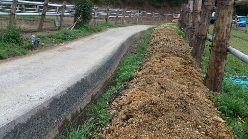 b0187620_20503773.jpg