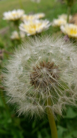 b0187620_2052024.jpg