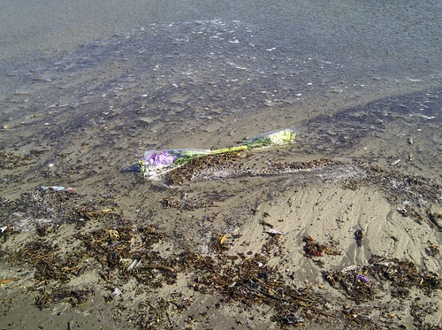e0164724_8363221.jpg