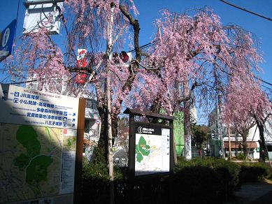 f0166824_2122990.jpg