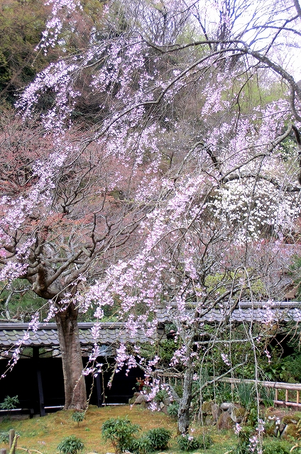 d0085025_22513993.jpg