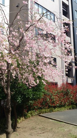 c0109726_1330999.jpg