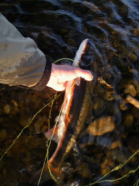 c0202727_92938.jpg