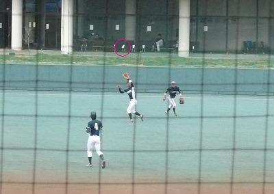 専修大対明治大 3月23日 オープン戦・前半_b0166128_18585134.jpg