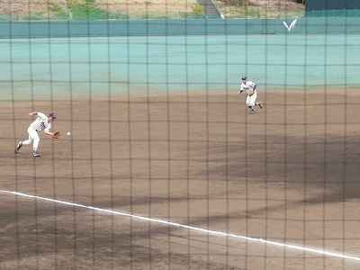 専修大対明治大 3月23日 オープン戦・前半_b0166128_1953283.jpg