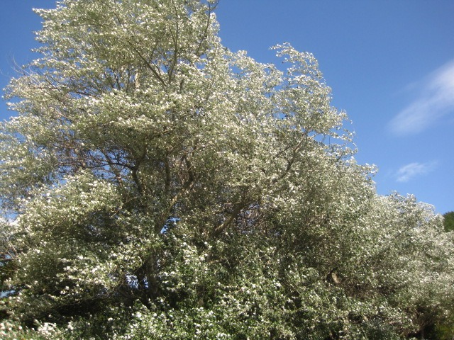 感受性_c0102228_20341432.jpg