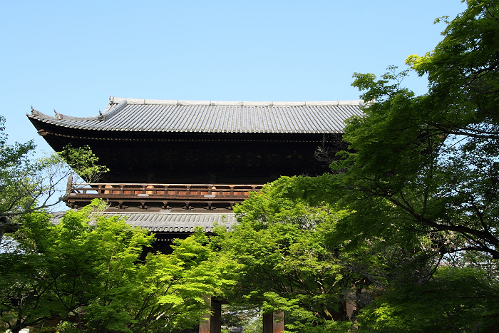 新緑の哲学の道巡り －南禅寺－_b0169330_10515927.jpg