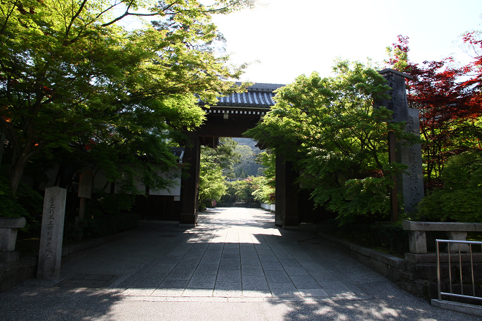 新緑の哲学の道巡り －南禅寺－_b0169330_11244531.jpg