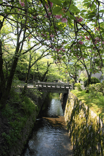 新緑の哲学の道巡り －哲学の道（前編）－_b0169330_16484396.jpg