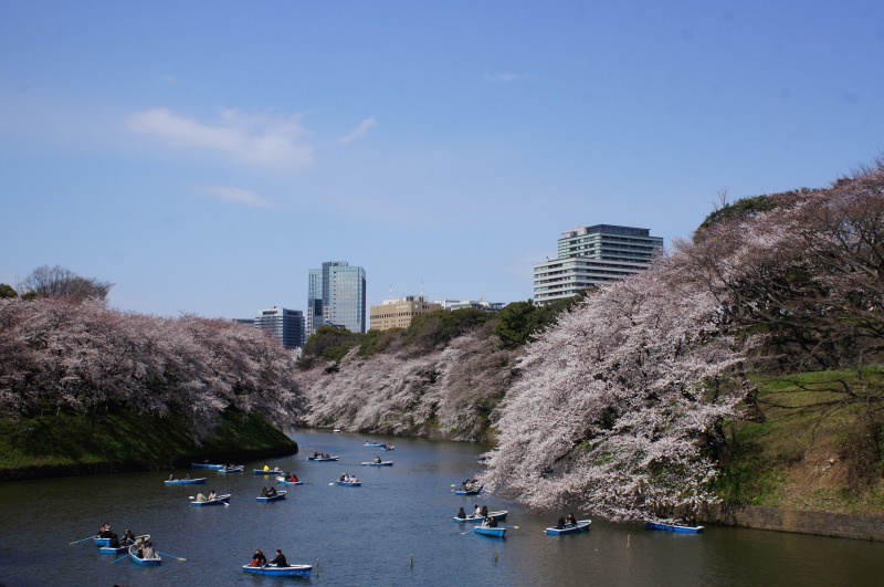 同じ場所からの桜（2009～2012）☆千鳥ヶ淵_a0122932_134291.jpg